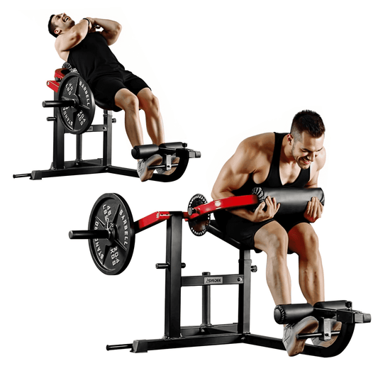 Syedee Seated AB Curl/ Back Extension Machine, Plate Loaded Machine with 450lbs Weight Capacity, Home Gym for Core and Back Training