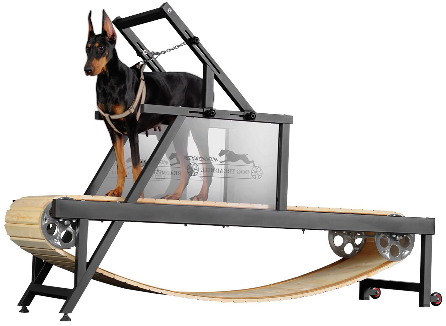 Syedee Dog Treadmill for Large Dogs, Dog Slatmill for Healthy & Fit Dog Life, Dog Treadmill for Indoor & Outdoor. Dog Treadmill for Dogs up to 500 lb