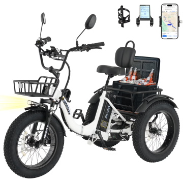 Skeri Electric Tricycle for Adults, 750W(Peak 1350W) Motor, 48V13Ah Battery, 20"x4" Folding Fat Tire 3-Wheel Electric Trike, 20MPH, Hydraulic Brakes, Rear Basket & Differential, UL2849